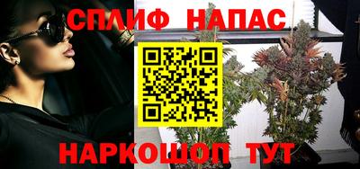 прущие грибы Кунгур