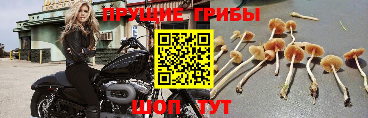 Галлюциногенные грибы ЛСД  Вход с VPN  Зеленодольск 